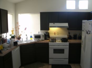 darodart profile photo