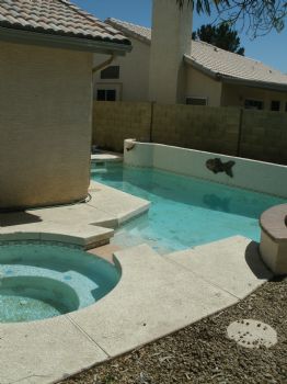 darodart profile photo