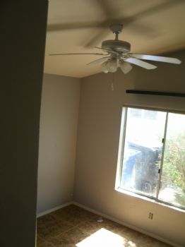 darodart profile photo