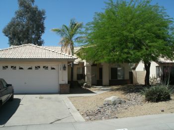 darodart profile photo