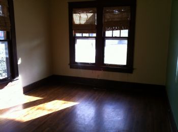 bluestocking profile photo