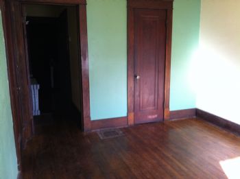 bluestocking profile photo