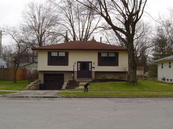 cdog_311 profile photo