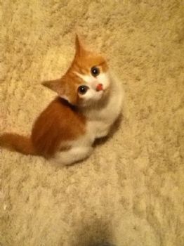 cmskeels profile photo