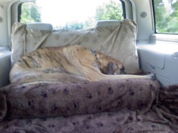 florida77 profile photo