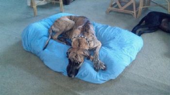 florida77 profile photo