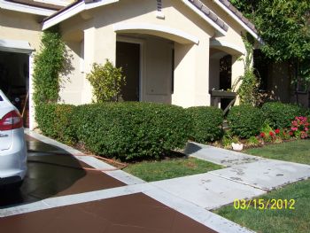 dwscott52 profile photo