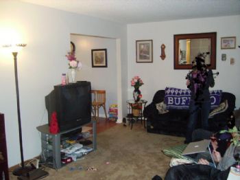 CatLover63 profile photo