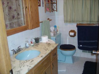 CatLover63 profile photo