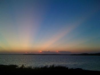 lthrift profile photo