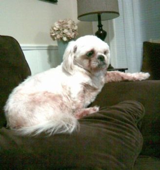 jshomewood profile photo