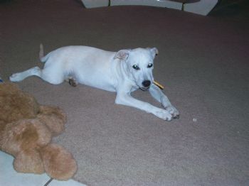 drewwho profile photo