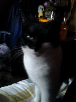 PandoraDream profile photo