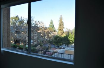 mami77 profile photo