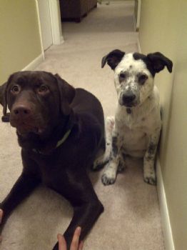 sassy17 profile photo