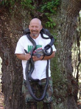 Gaelan profile photo