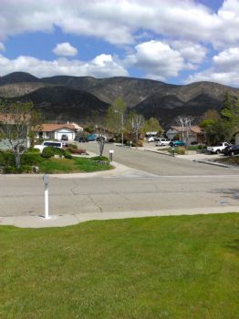 lorielp profile photo