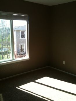 inetron profile photo