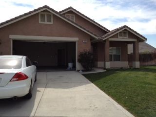 Tuanle profile photo