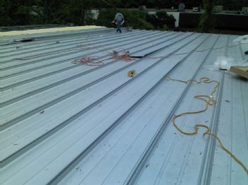 jesselake profile photo