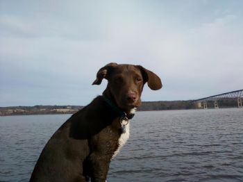 littlecimmy9 profile photo