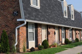 peanutip profile photo