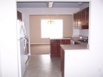 katiesearch profile photo