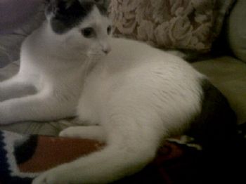 EmiAnn profile photo