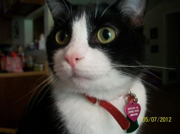 EmiAnn profile photo