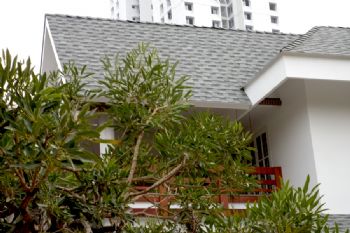 steffiroom profile photo