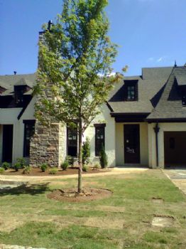 Amethyst27 profile photo