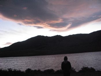 dan1121 profile photo