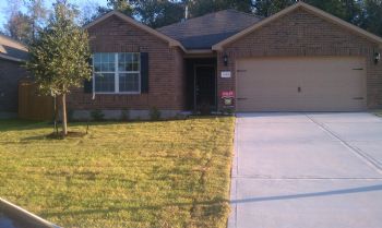 cclinton2 profile photo