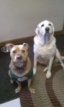 MBoyle profile photo