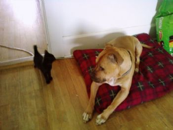 MBoyle profile photo