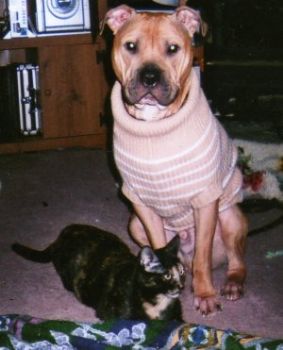 MBoyle profile photo