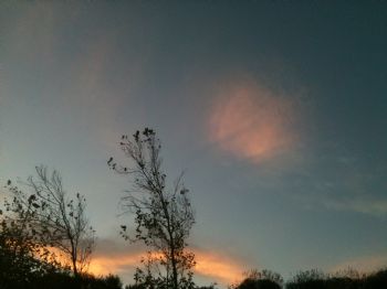 Tina T profile photo