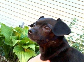 sidface profile photo