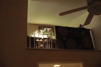 justkjtr profile photo