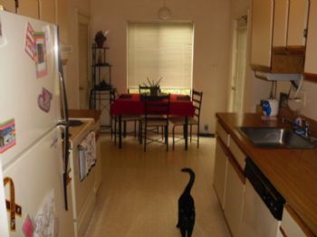 JayOhDeeEye profile photo