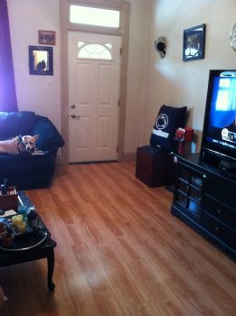 norm41 profile photo