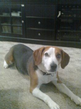 norm41 profile photo