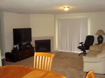 vidss2 profile photo