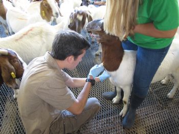 mnorsworthy profile photo