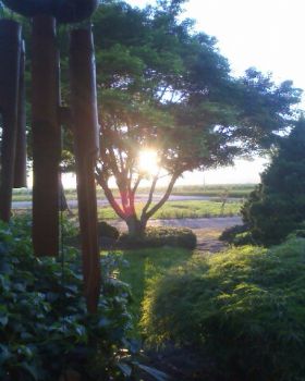 Dundee Cntry profile photo