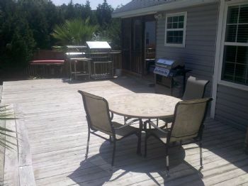 tawny2 profile photo