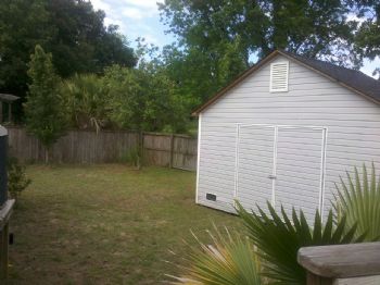 tawny2 profile photo