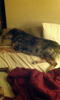 mkgilmore profile photo