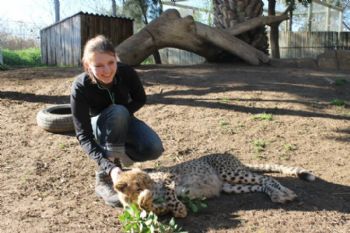 Peloutre profile photo