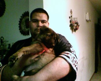 andysaucedo profile photo